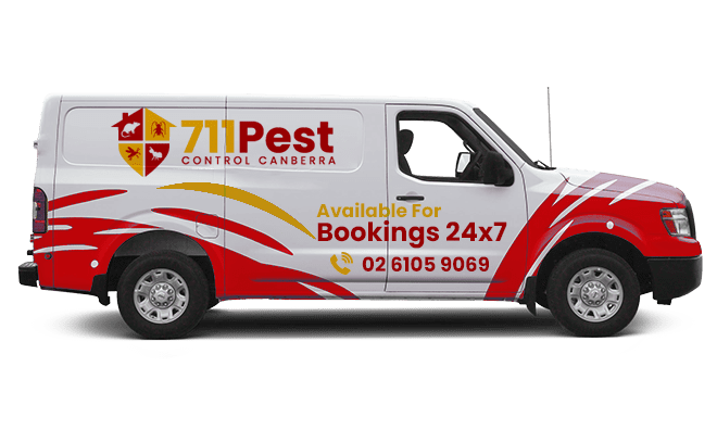 Pest Van